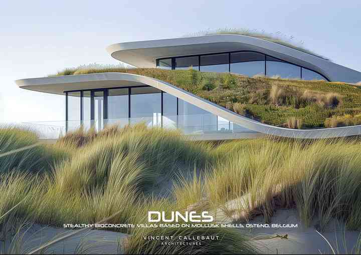 DUNES dunes_pl001
