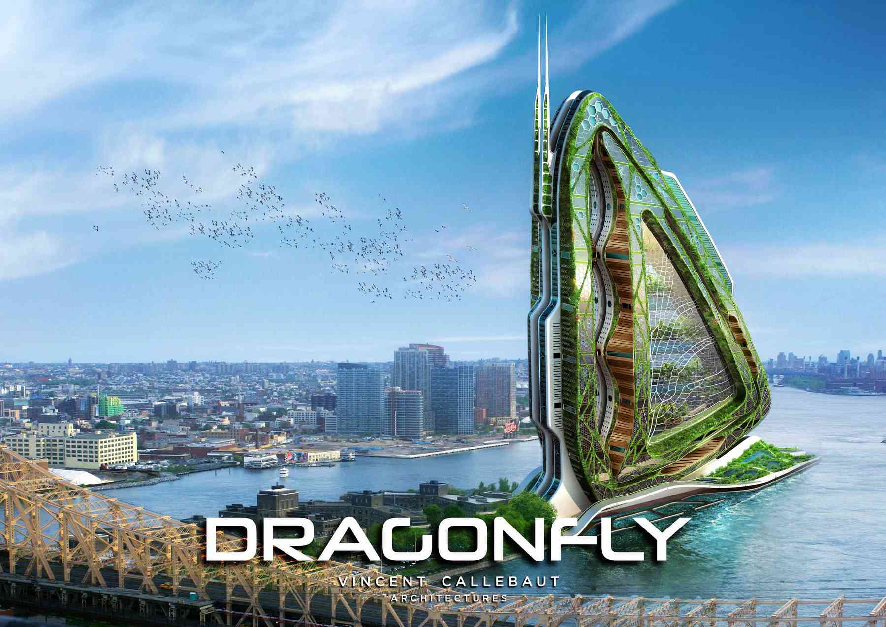 090429_dragonfly-dragonfly_pl001