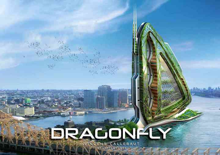 DRAGONFLY dragonfly_pl001