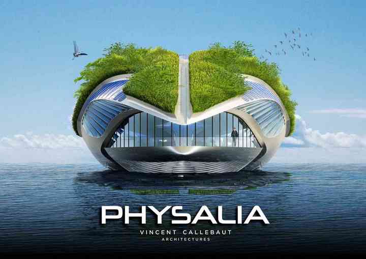 PHYSALIA physalia_pl001