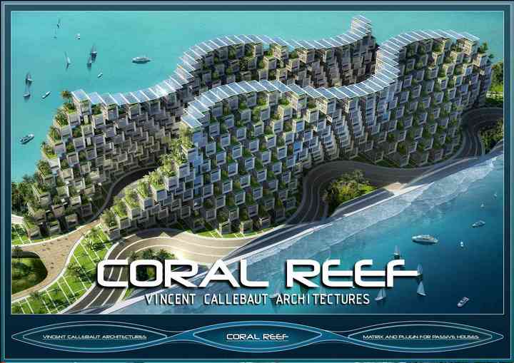 CORAL REEF coral_pl001