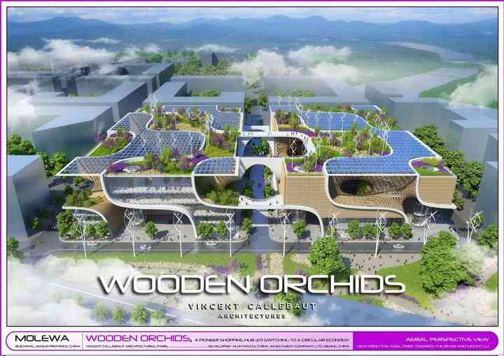 WOODEN ORCHIDS woodenorchids_pl001