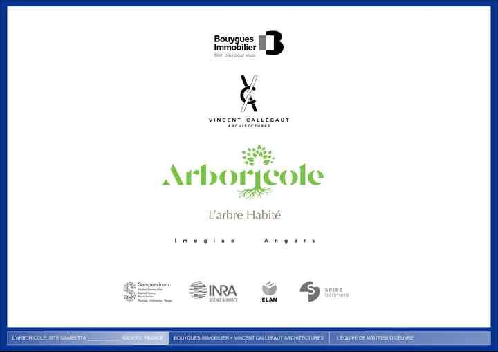 ARBORICOLE arboricole_pl056