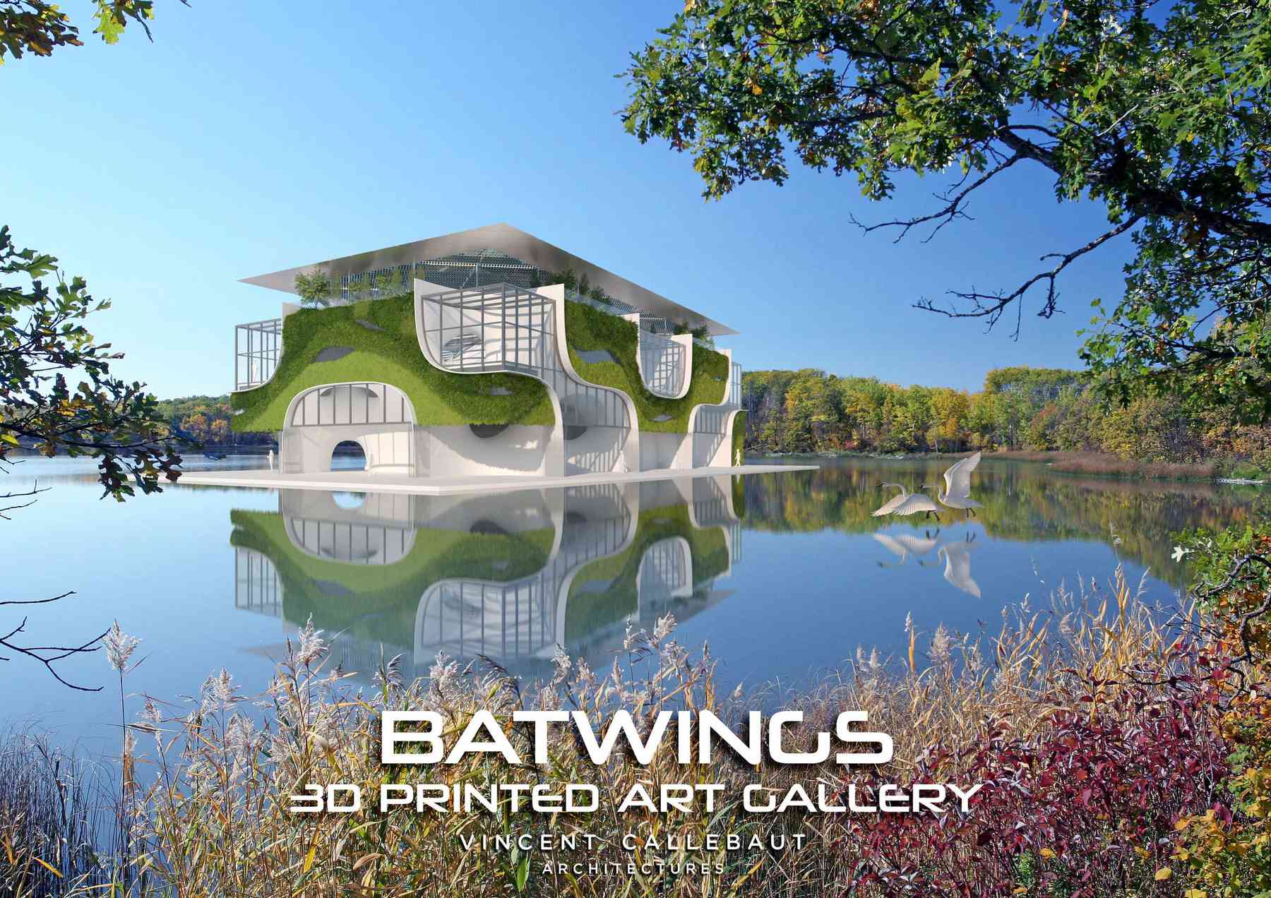 190315_batwings-batwings_pl001