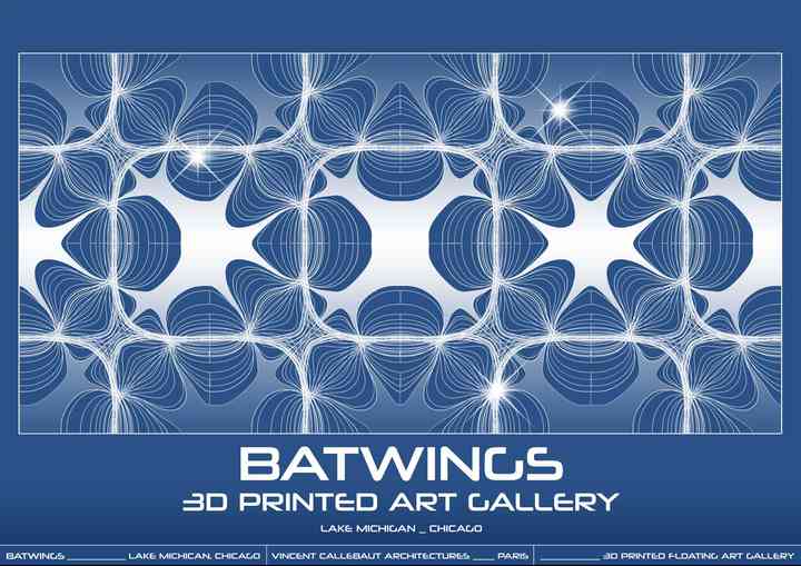 BATWINGS batwings_pl002