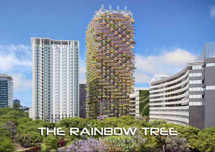 THE RAINBOW TREE rainbowtree_pl001