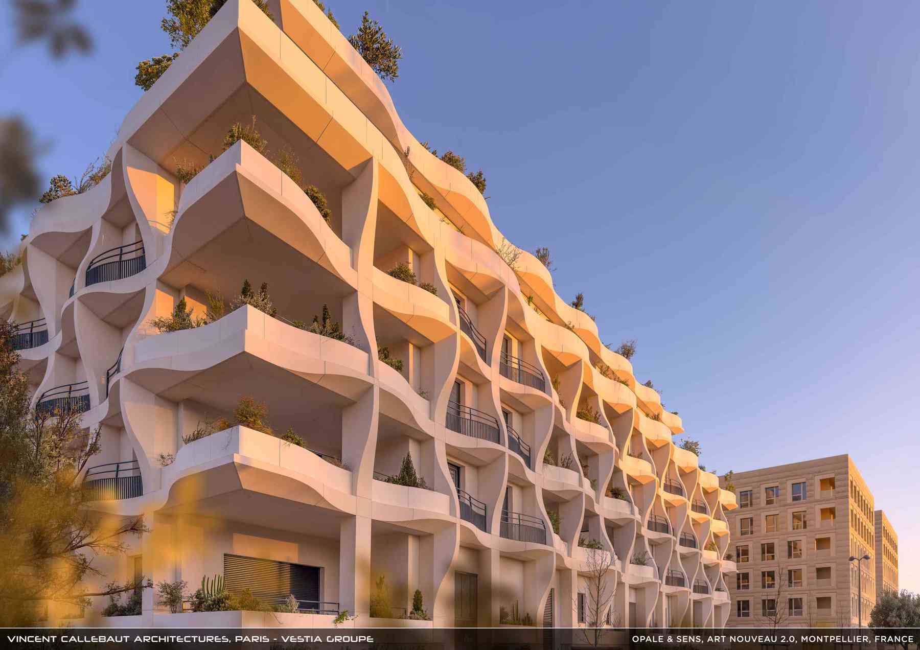 260126_opale-opale_pl002