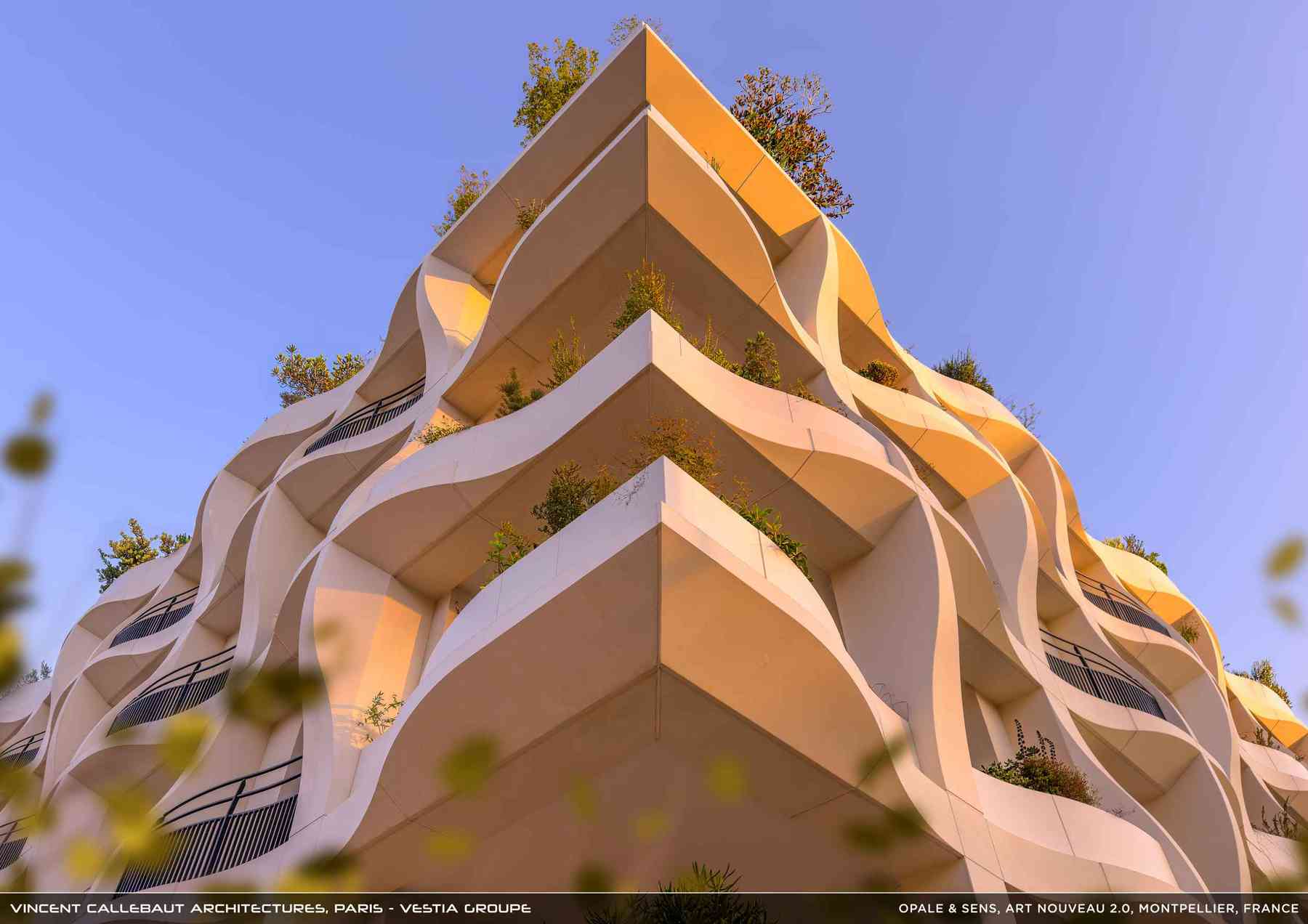 260126_opale-opale_pl003