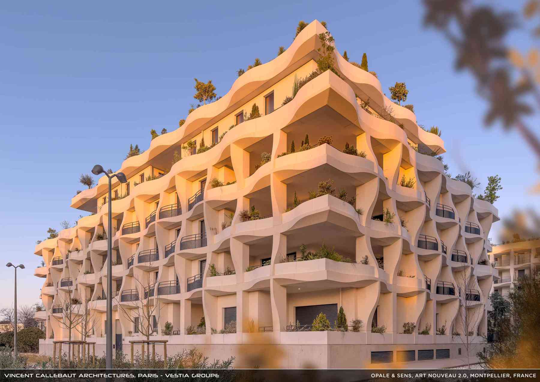 260126_opale-opale_pl005