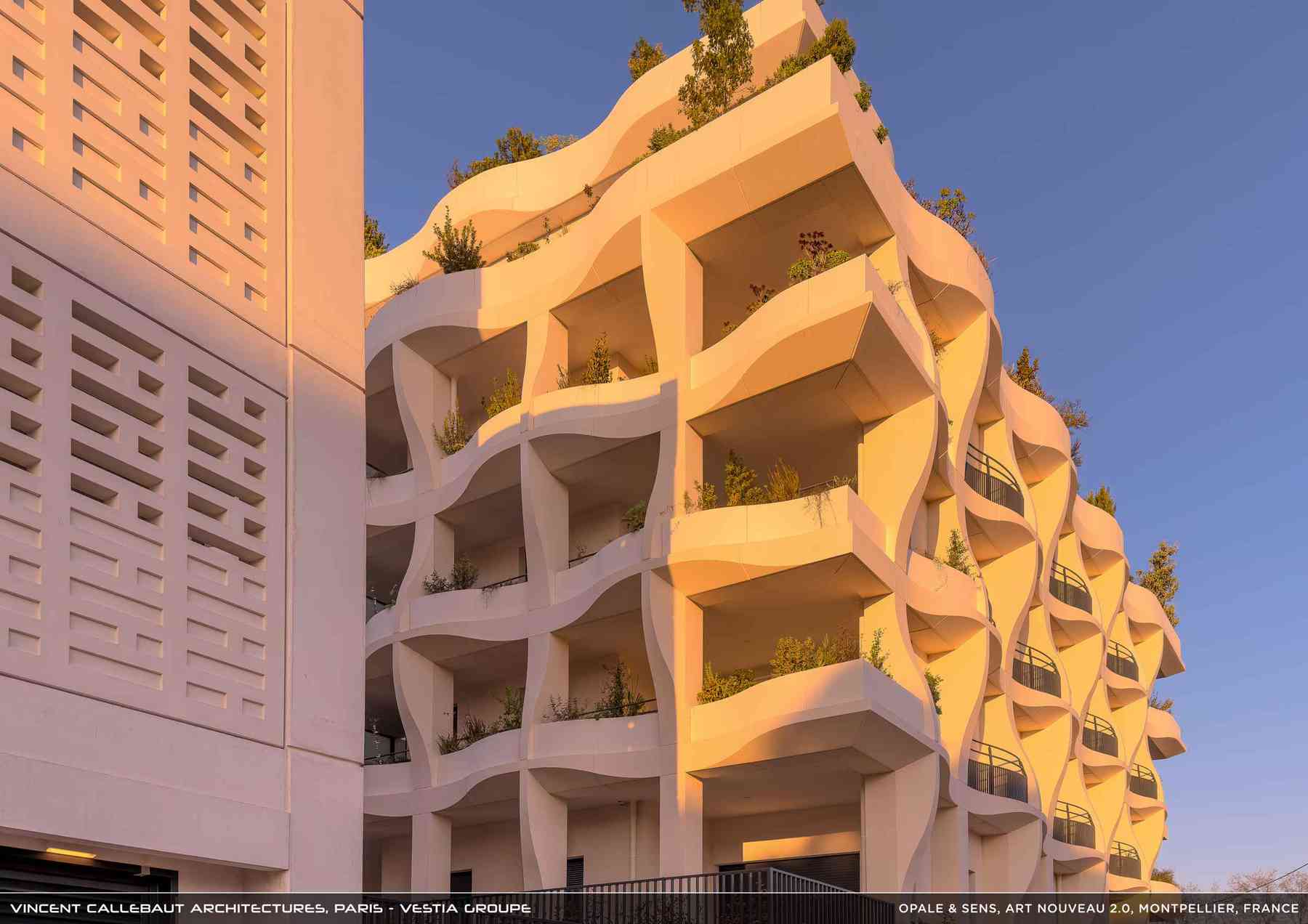 260126_opale-opale_pl007