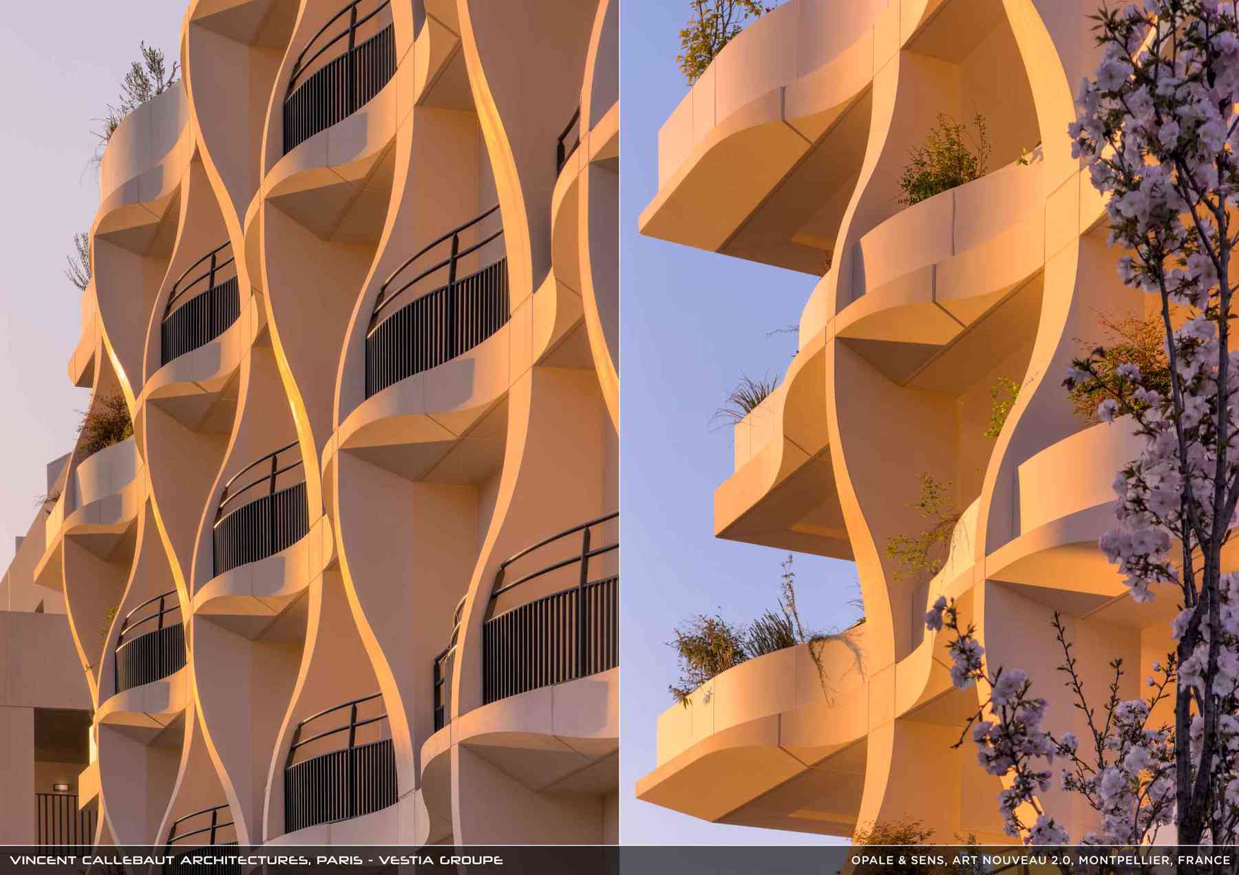 260126_opale-opale_pl009