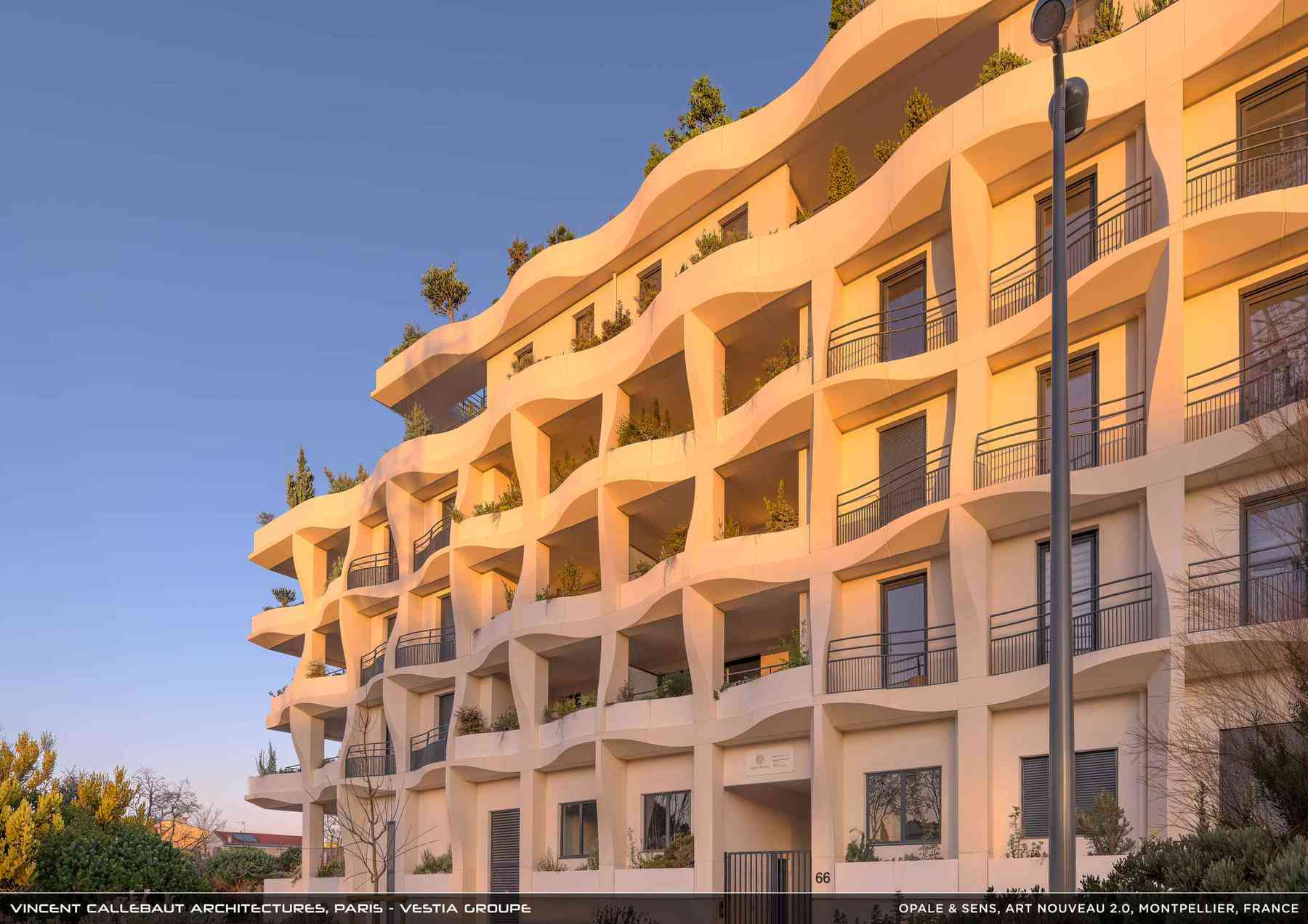 260126_opale-opale_pl010