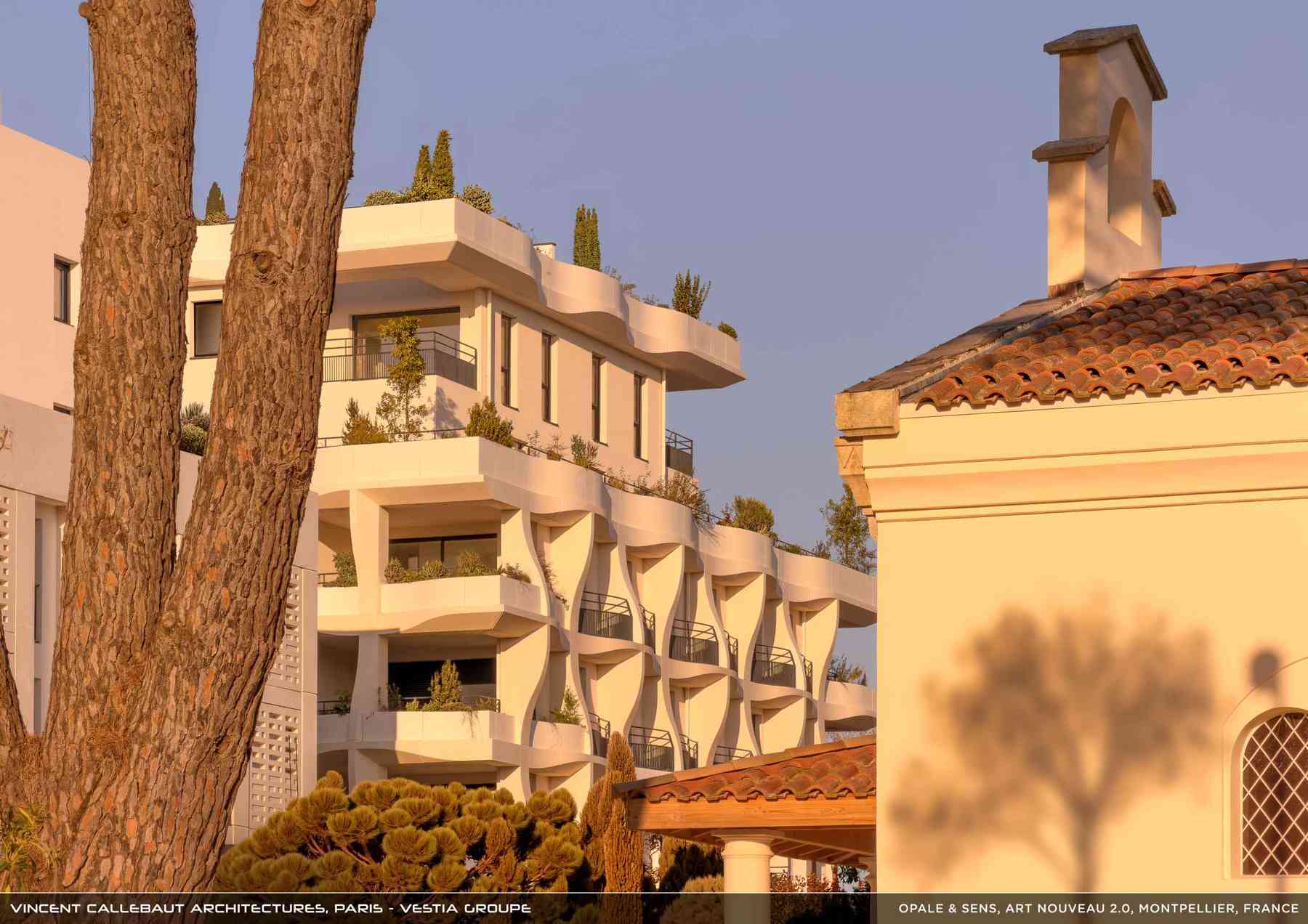 260126_opale-opale_pl014