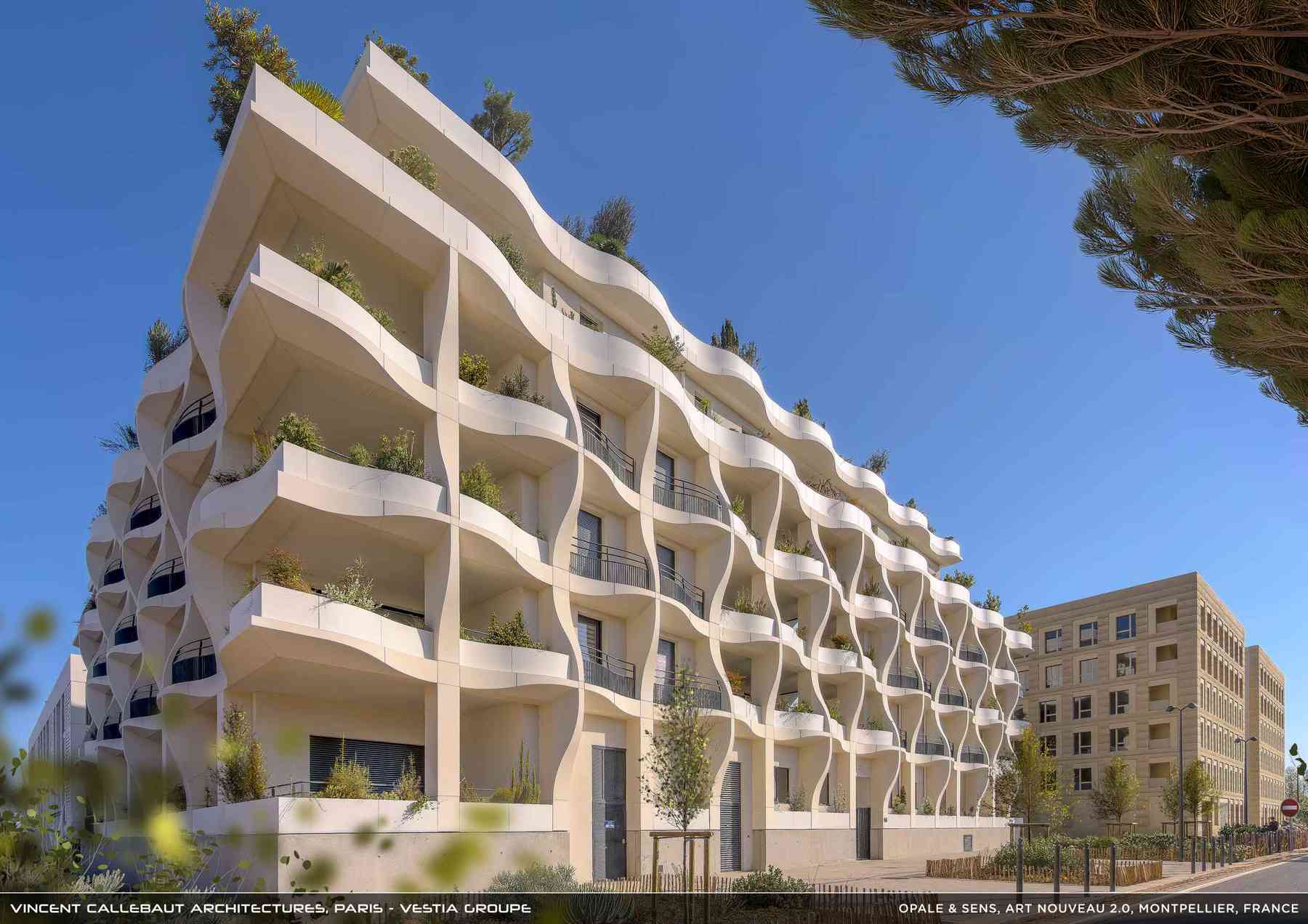 260126_opale-opale_pl017