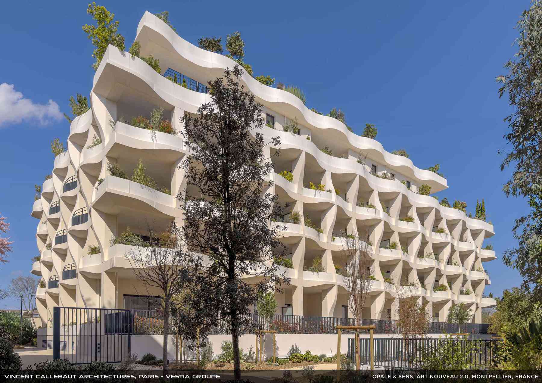 260126_opale-opale_pl019