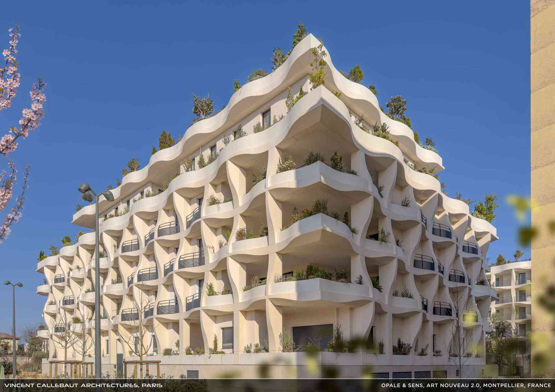 260126_opale-opale_pl021