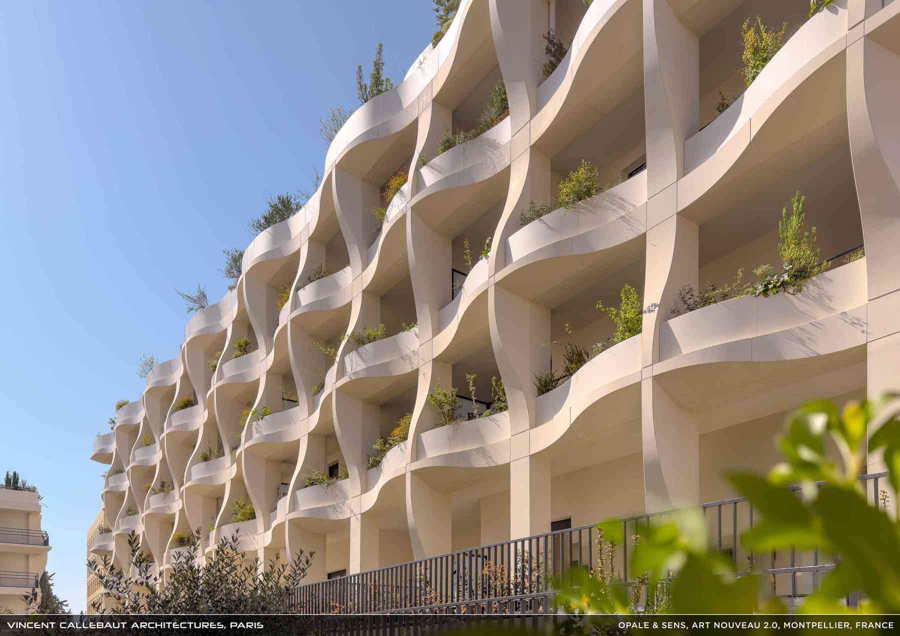 260126_opale-opale_pl024