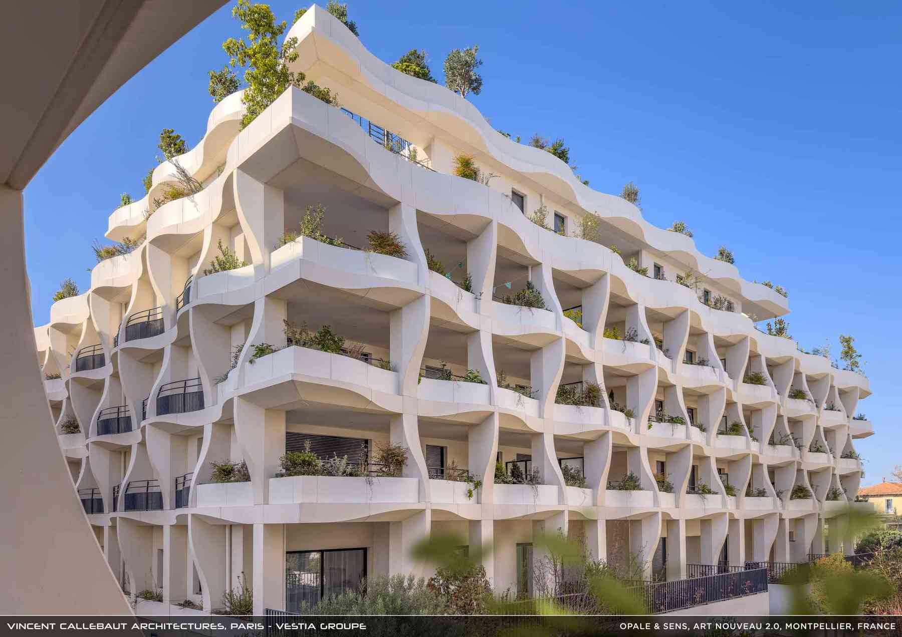 260126_opale-opale_pl028