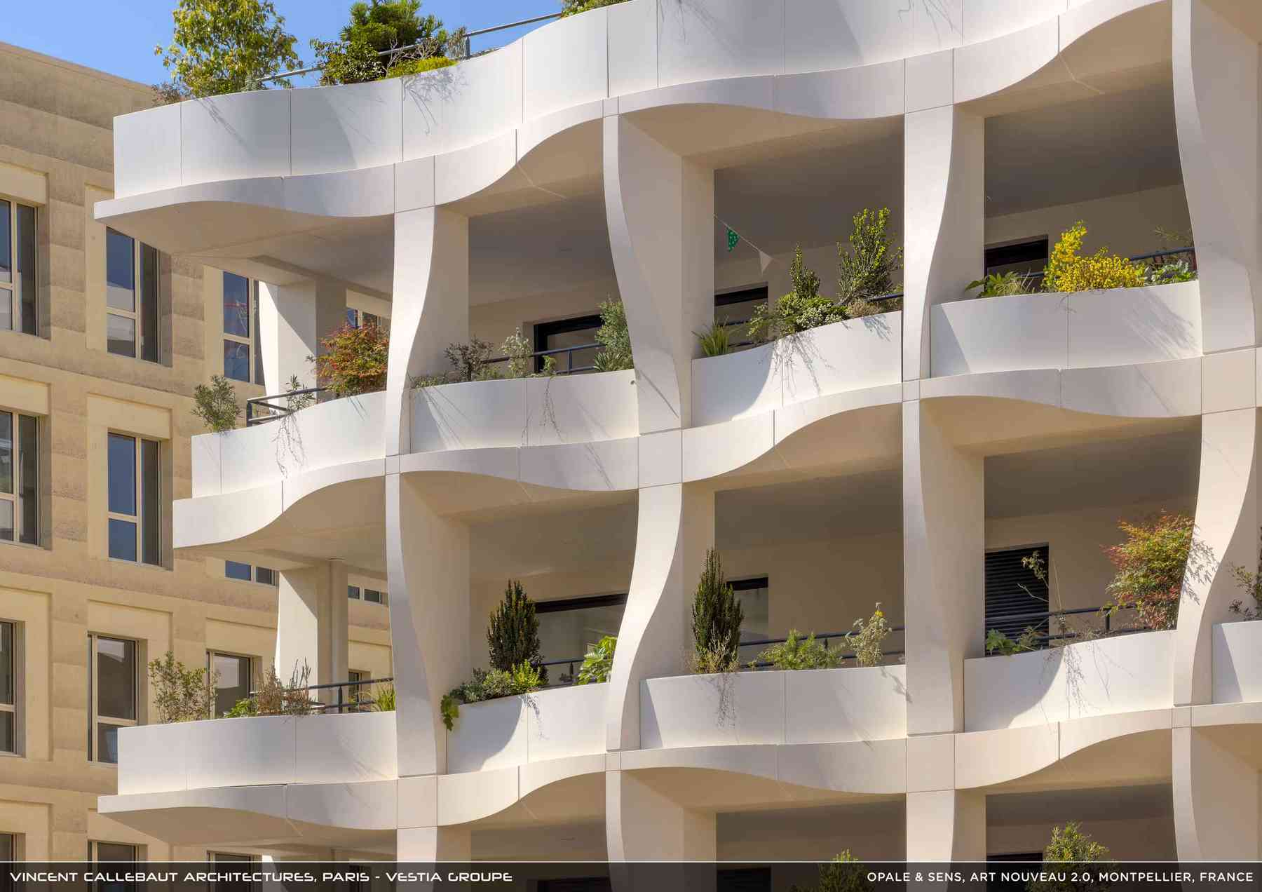 260126_opale-opale_pl031