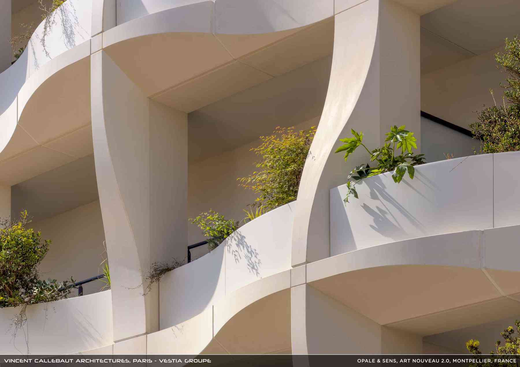 260126_opale-opale_pl032