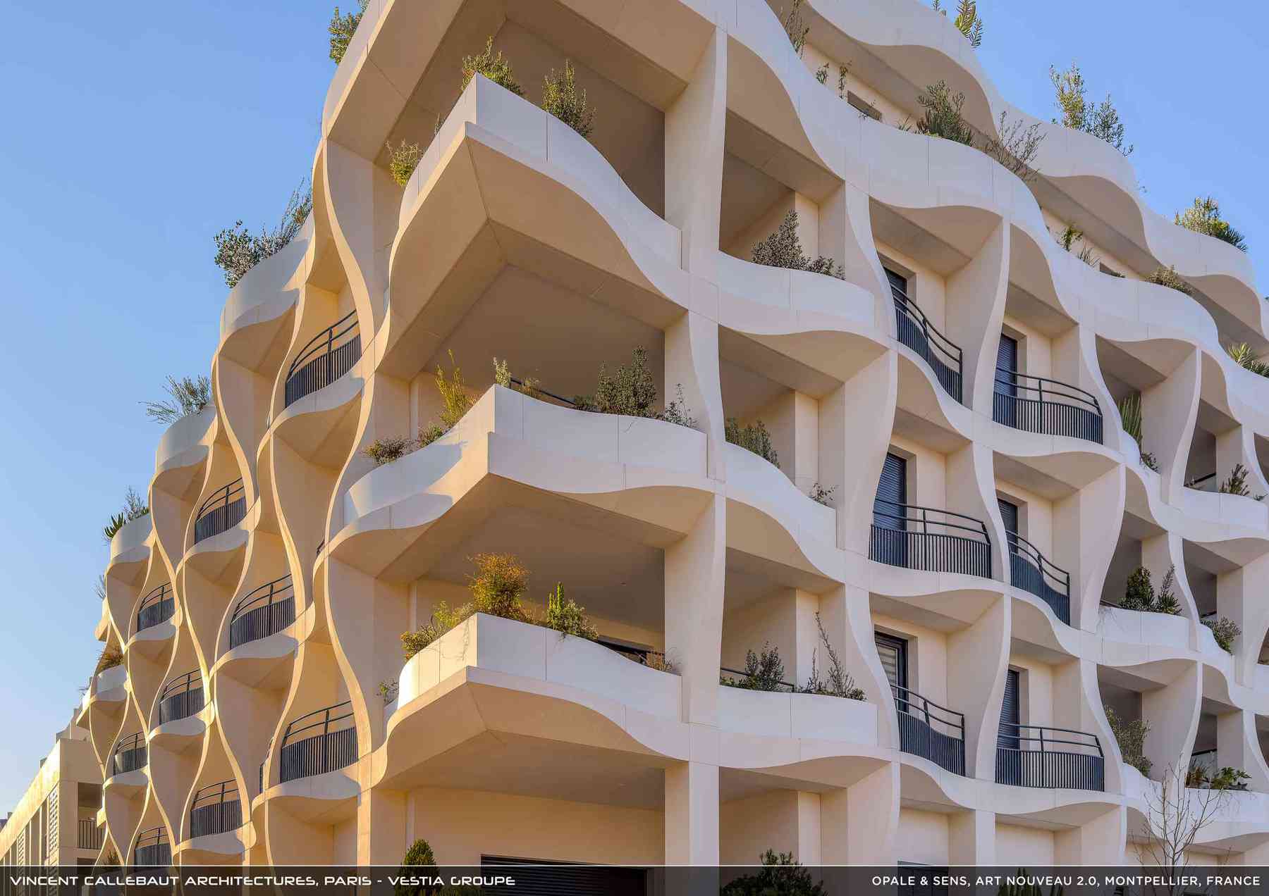 260126_opale-opale_pl033