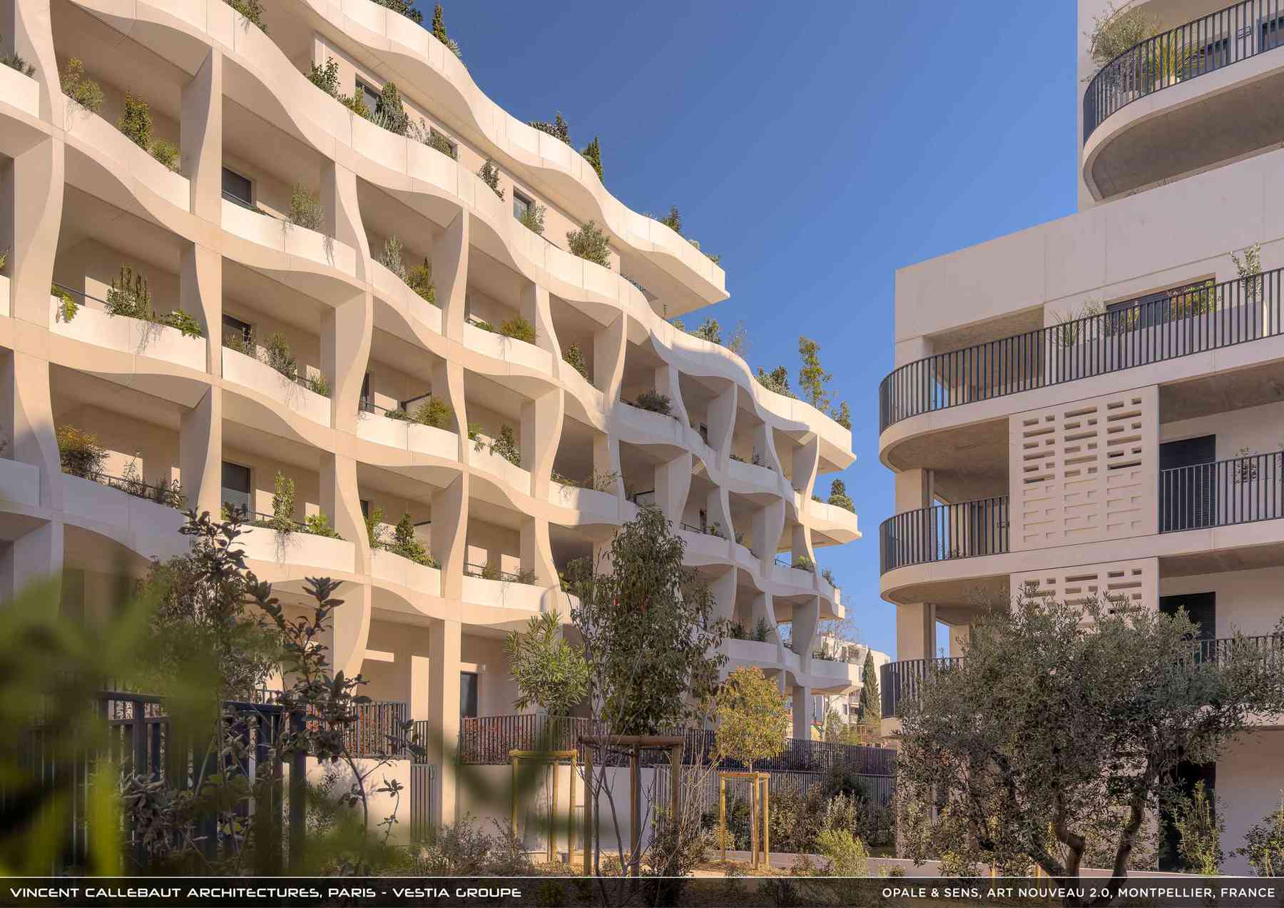 260126_opale-opale_pl036