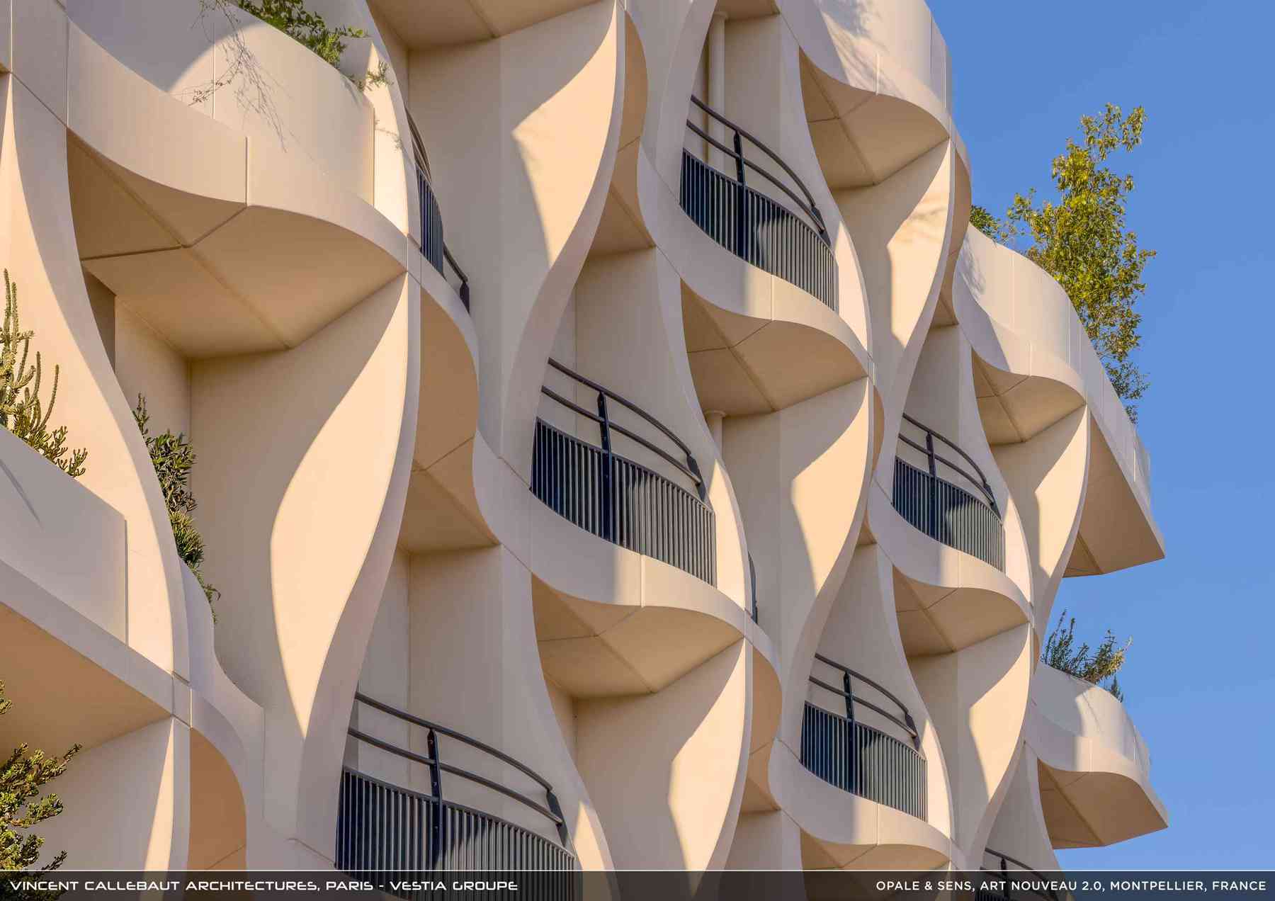 260126_opale-opale_pl037