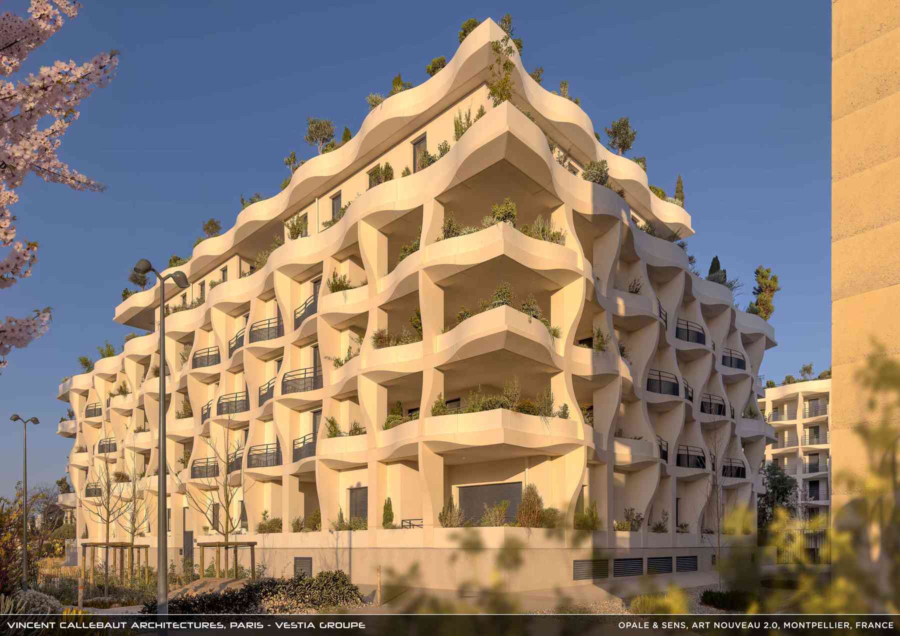 260126_opale-opale_pl038