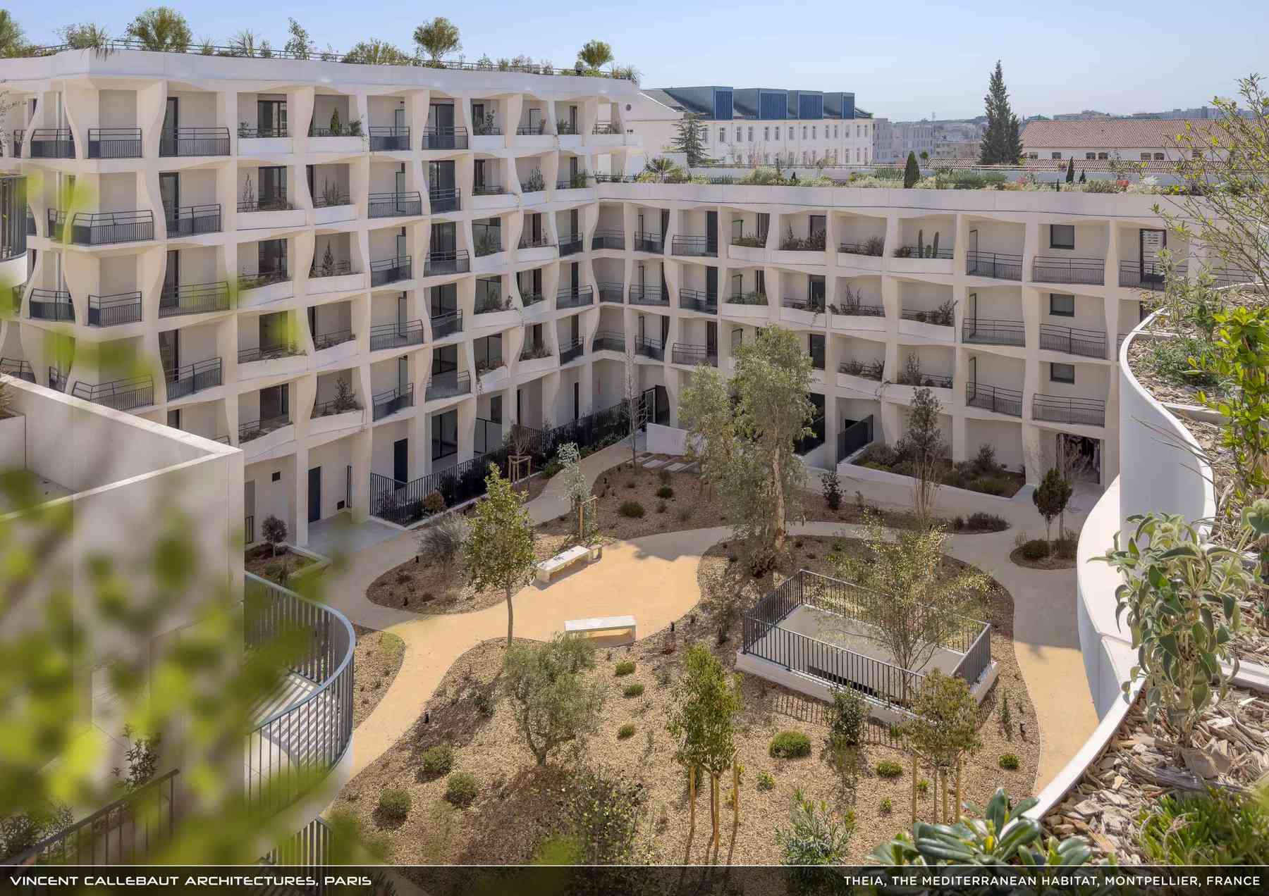 260407_theia-theia_pl002