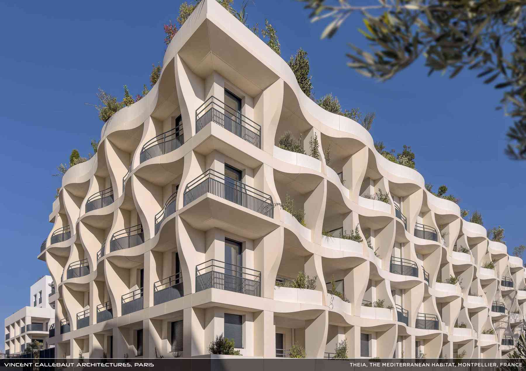 260407_theia-theia_pl003