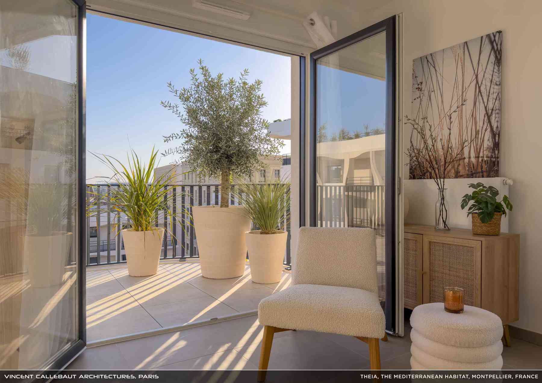 260407_theia-theia_pl009