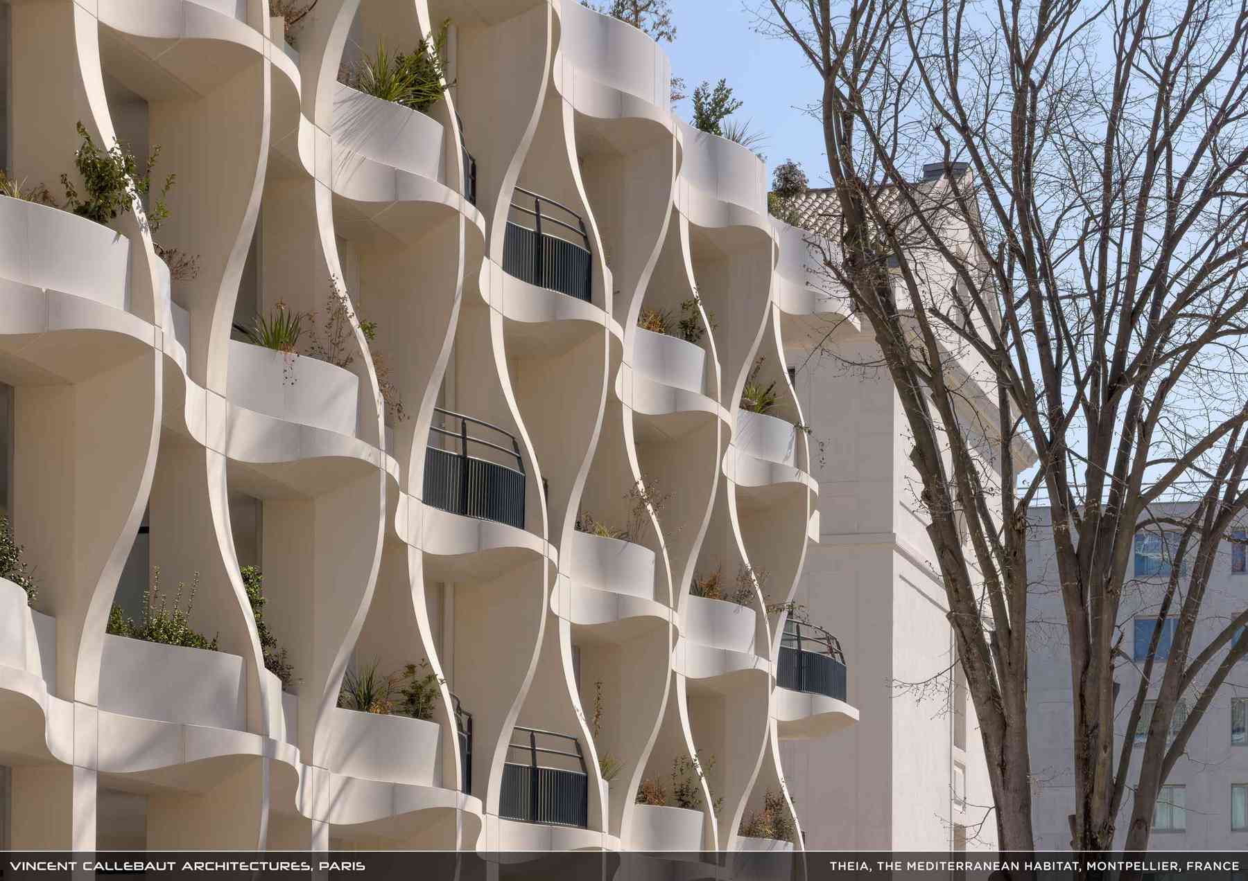 260407_theia-theia_pl024