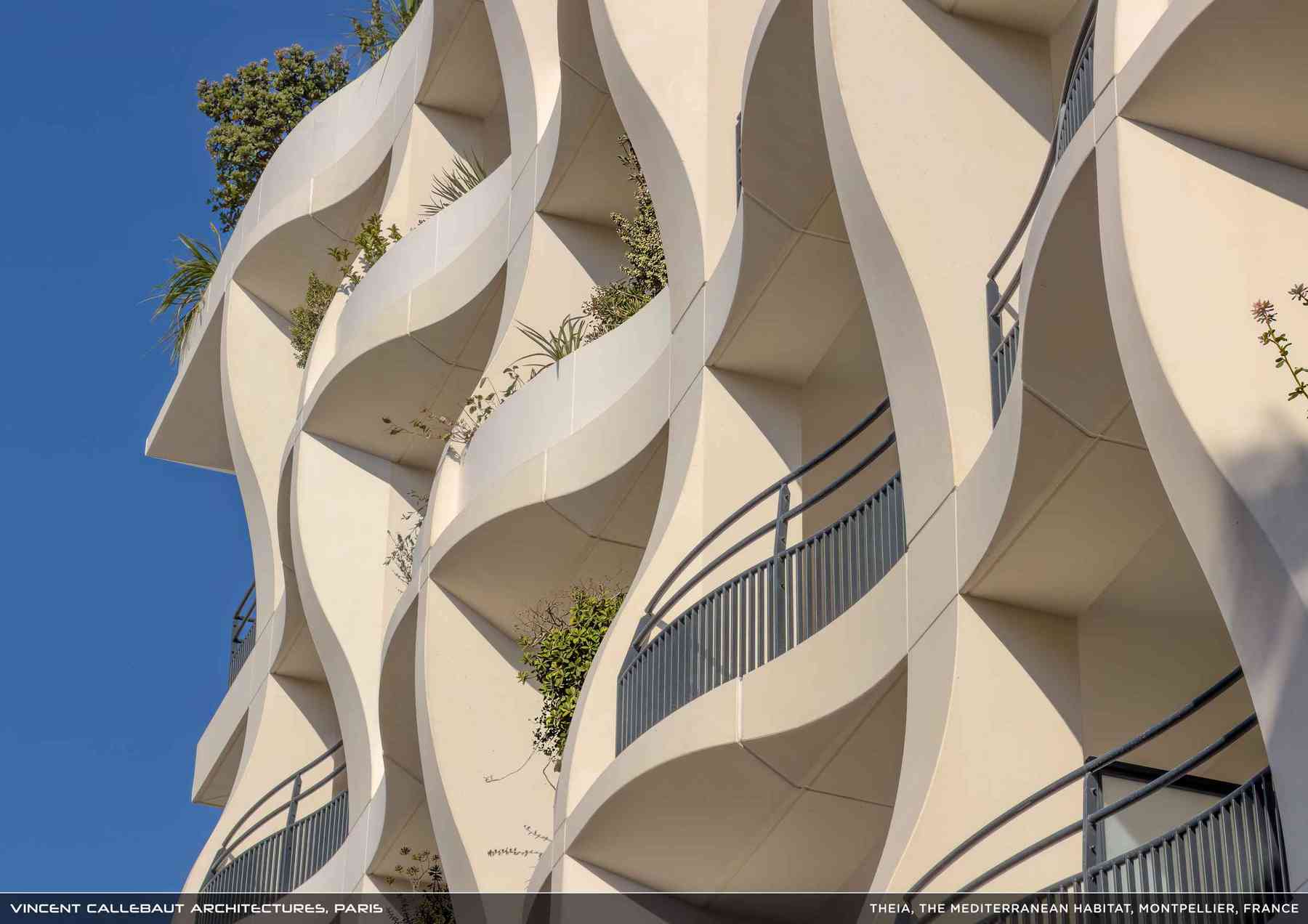 260407_theia-theia_pl026