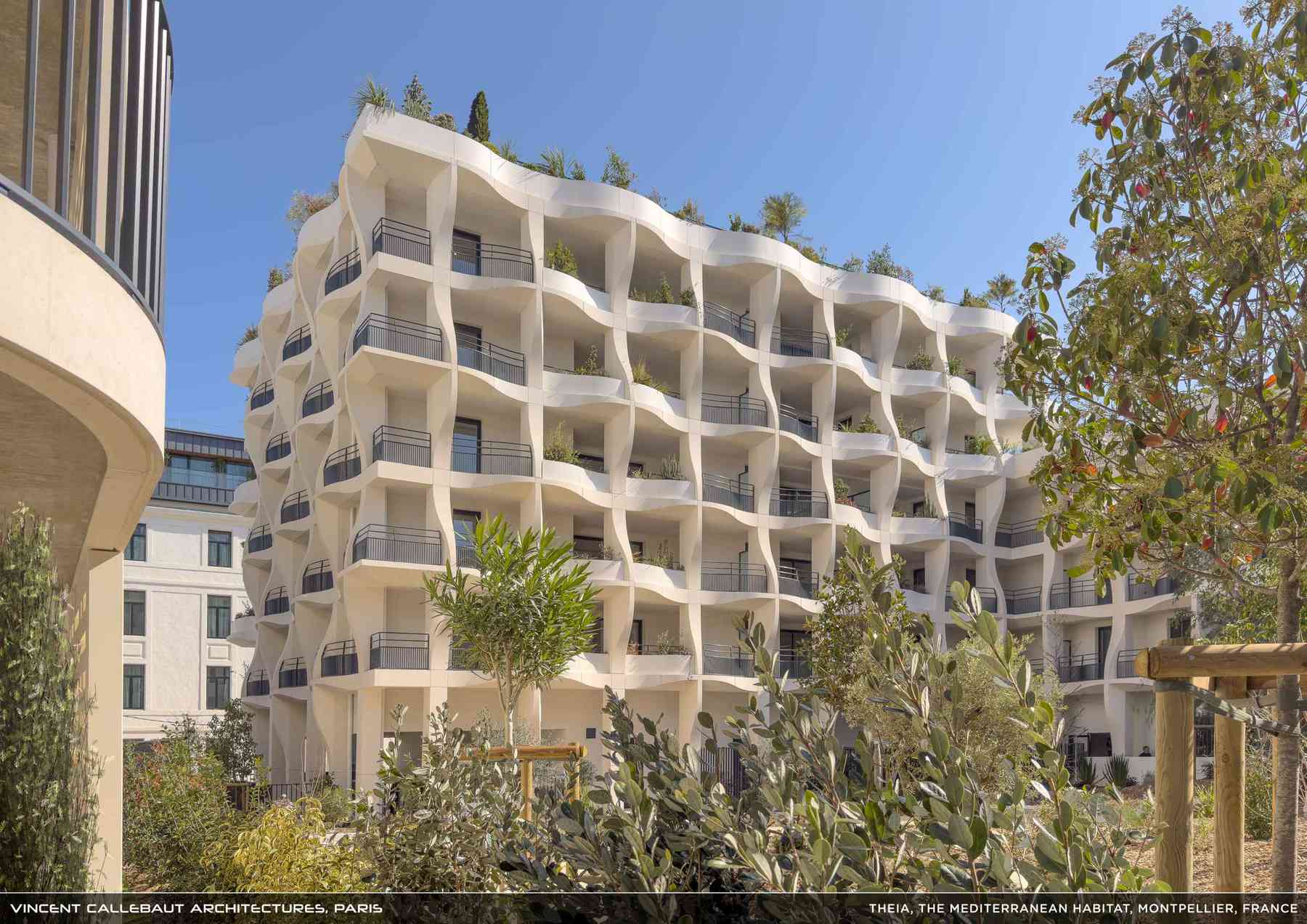 260407_theia-theia_pl031