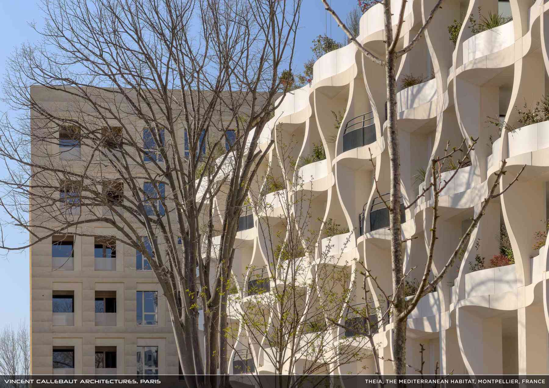 260407_theia-theia_pl033