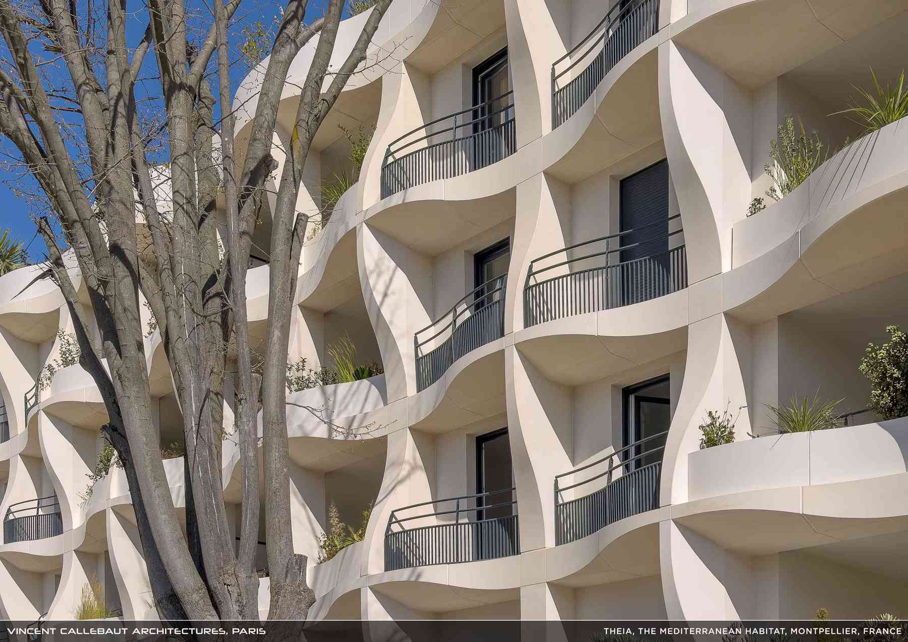 260407_theia-theia_pl036