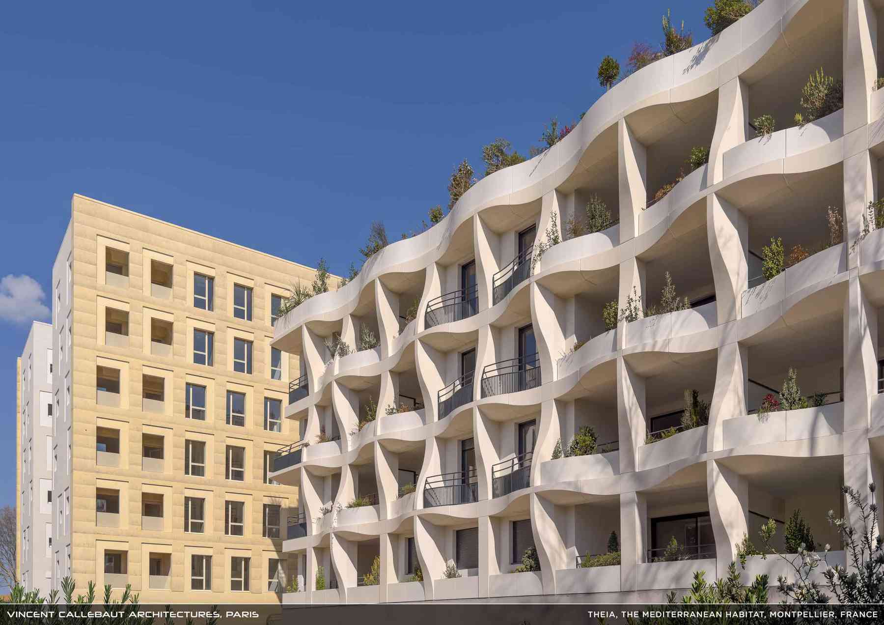 260407_theia-theia_pl038