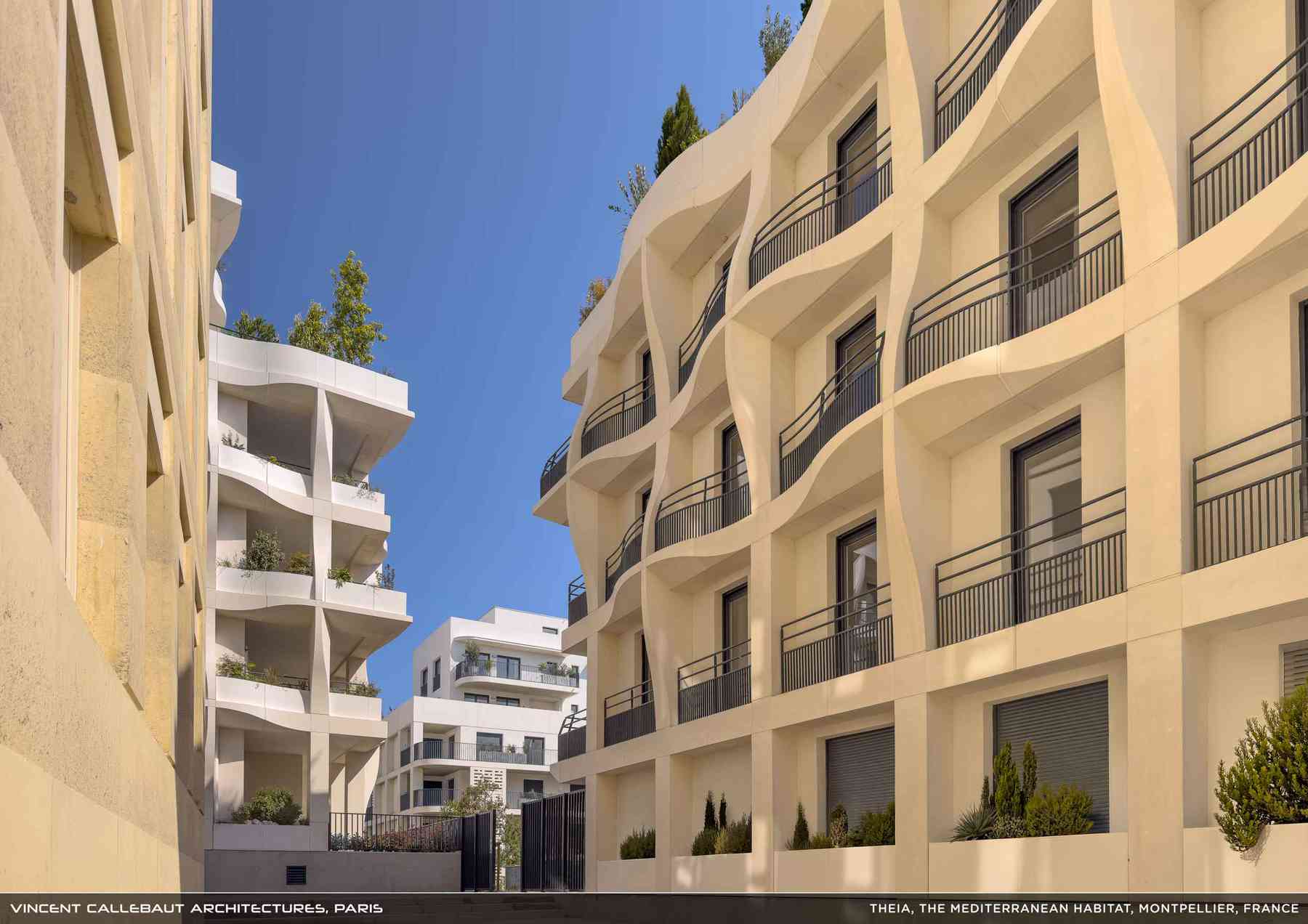 260407_theia-theia_pl039