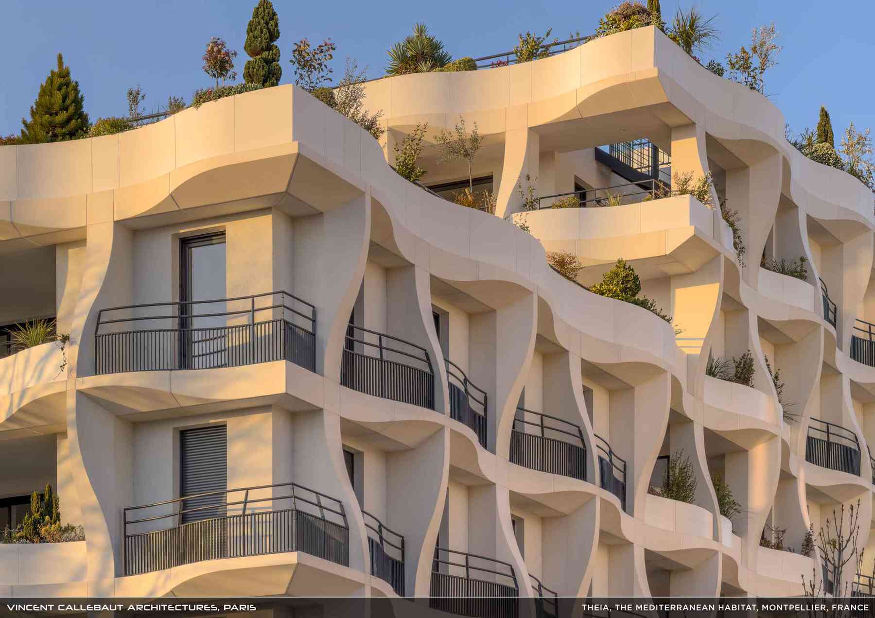 260407_theia-theia_pl041